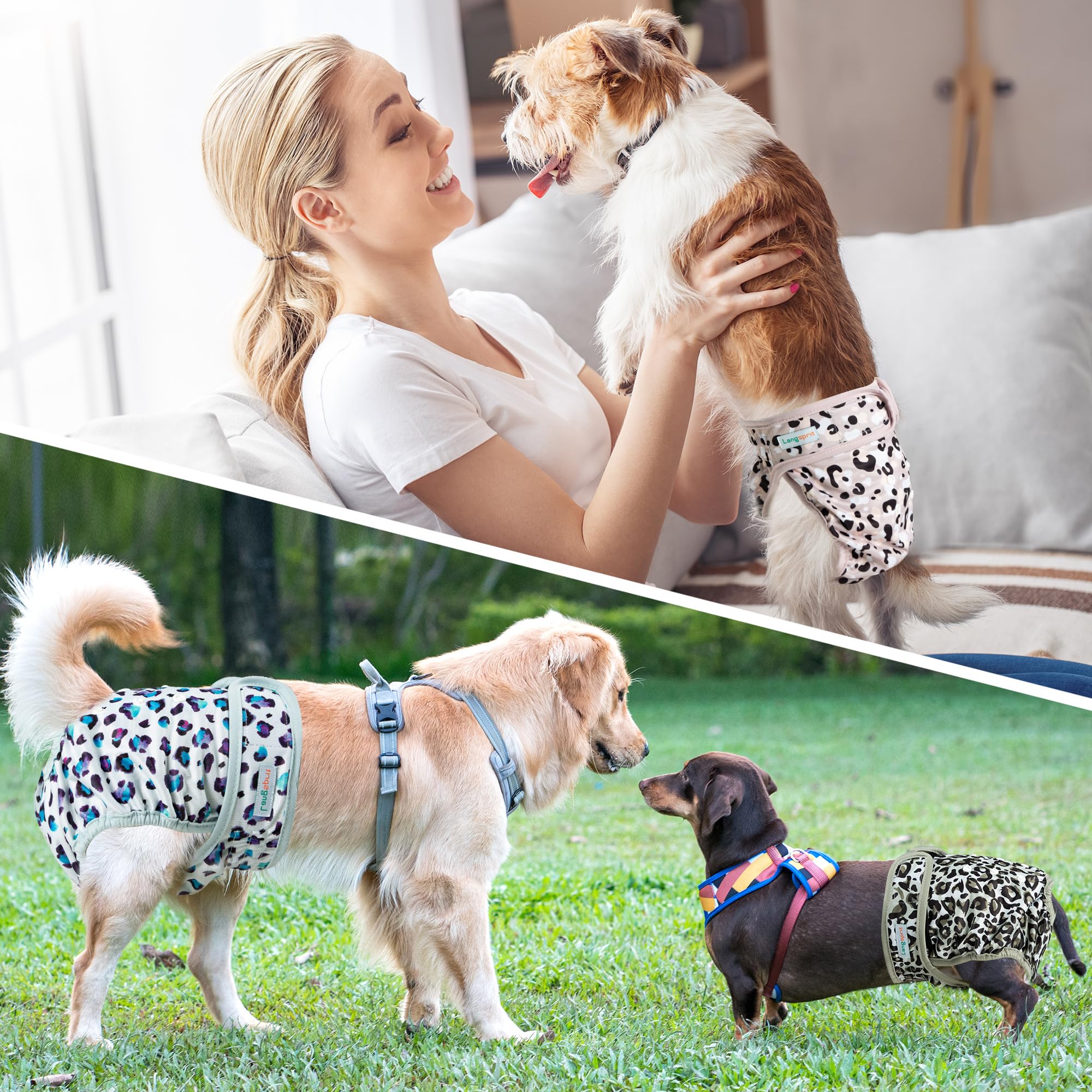 Langsprit chienne portant couche solution pratique en sortie
