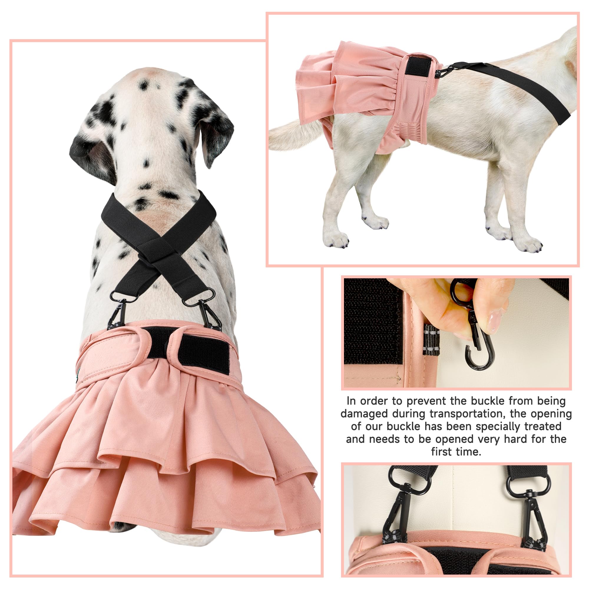 Langsprit culotte portée par une chienne montrant maintien confortable et mobilité