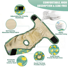 Langsprit gros plan du noyau absorbant montrant absorption rapide