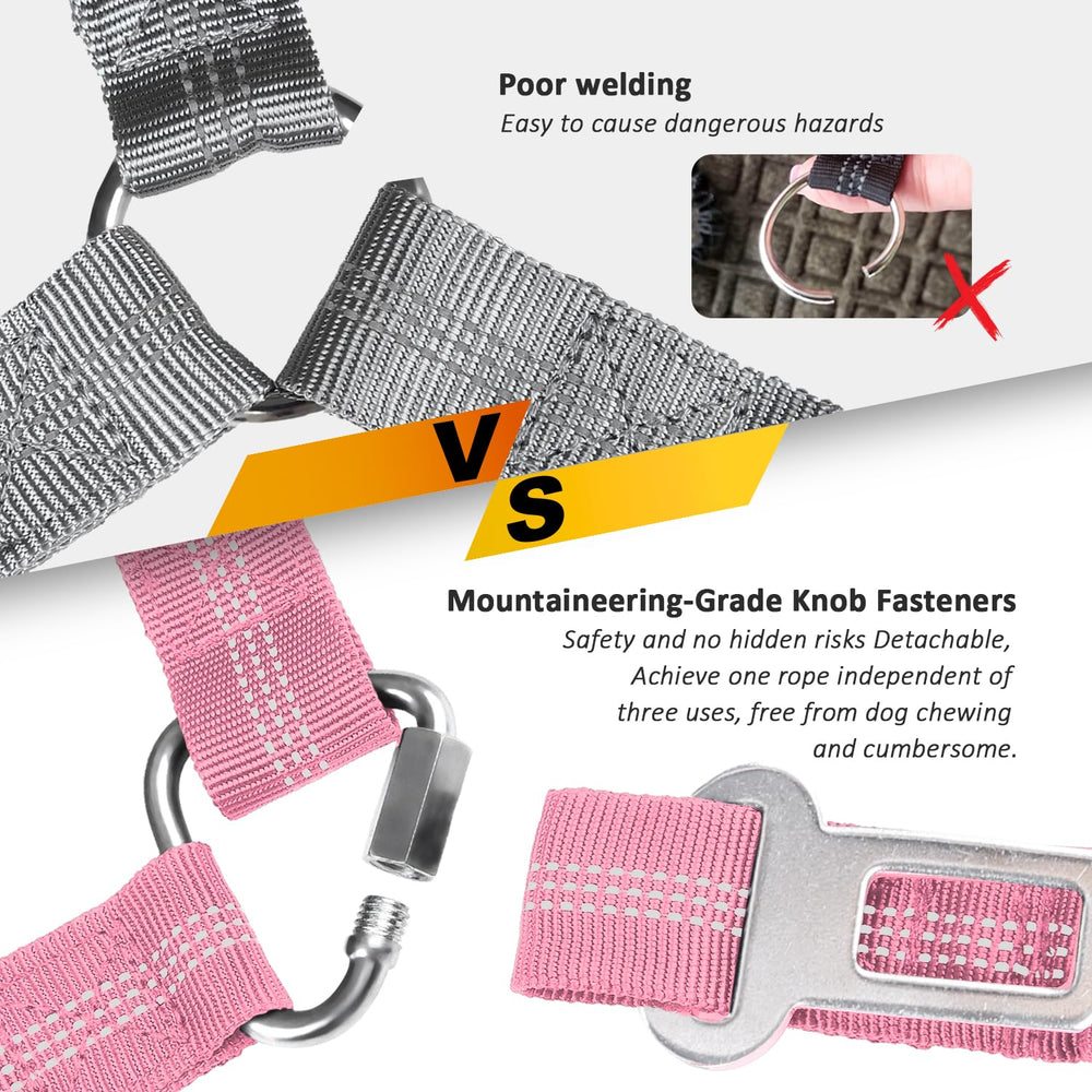 laqibak comparaison taille avec chien montrant ajustement pratique