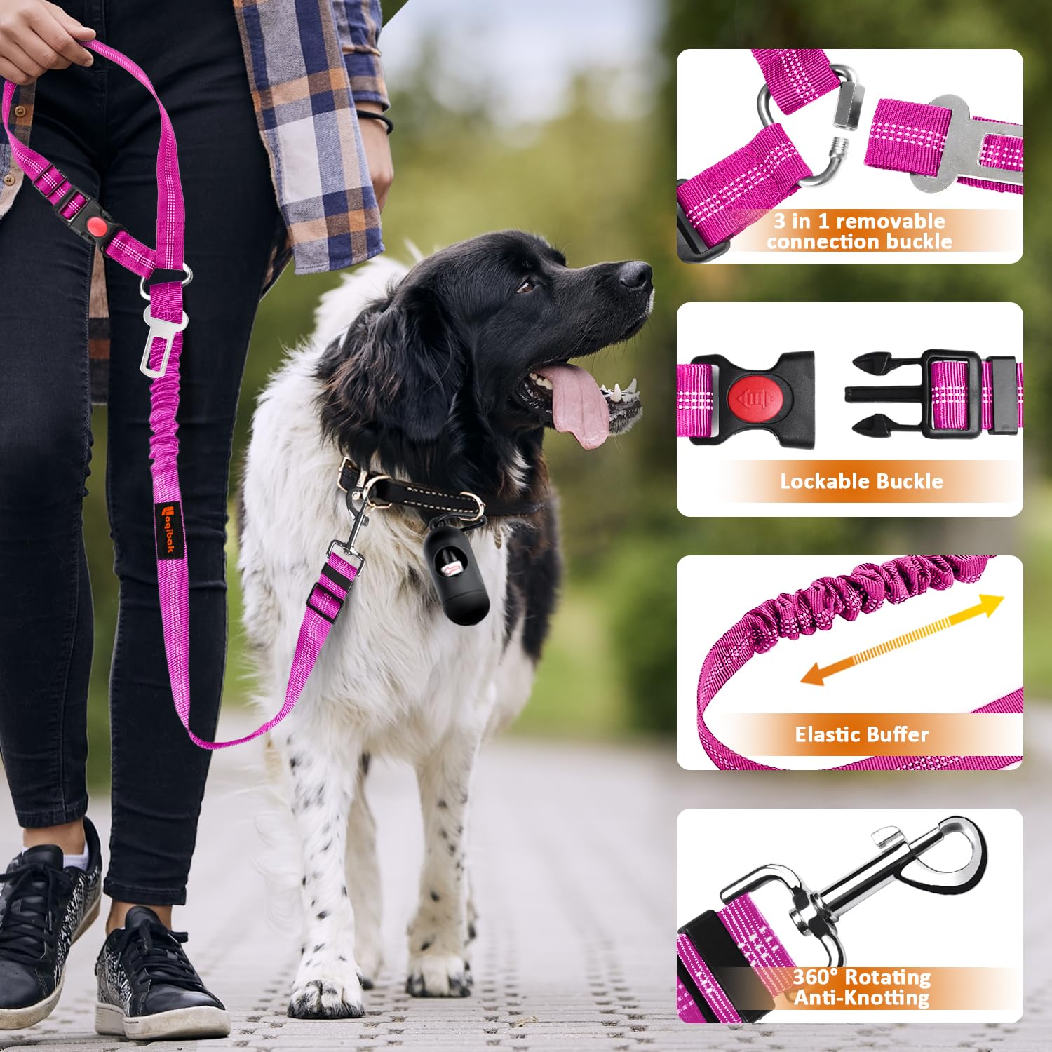 laqibak laisse élastique réfléchissante pour promenades nocturnes