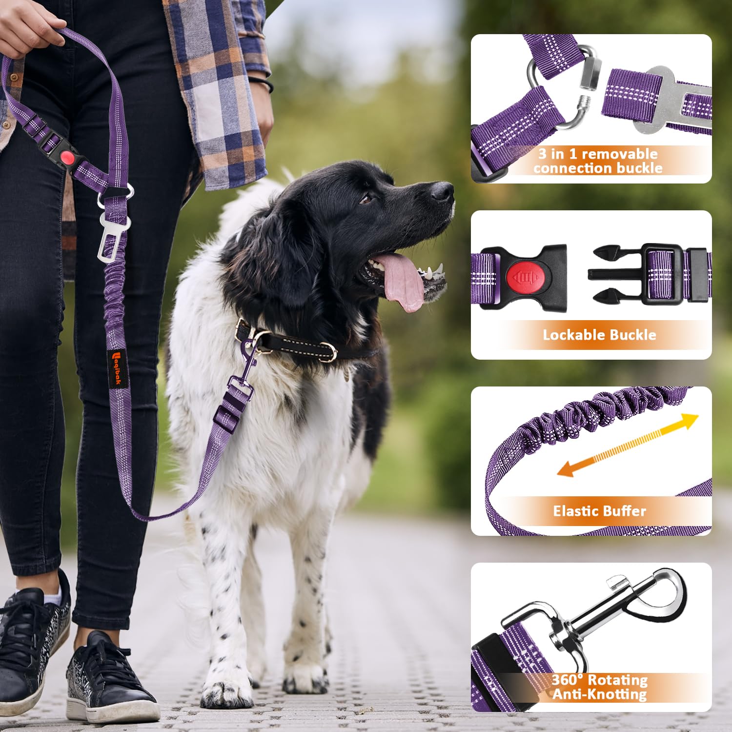 laqibak attache pivotante 360° empêchant les enchevêtrements du chien