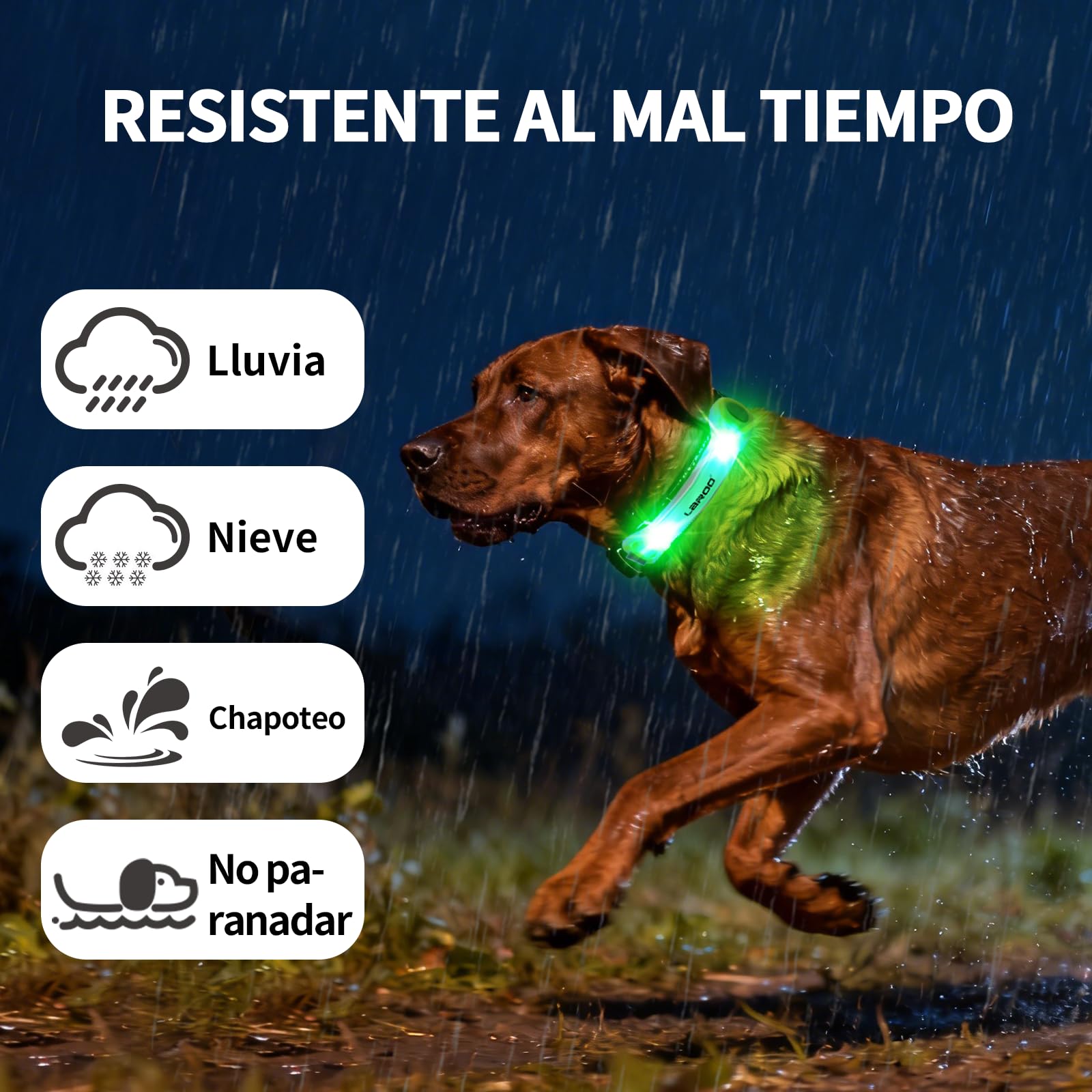 LaRoo gros plan des LEDs et texture garantissant durabilité et finesse