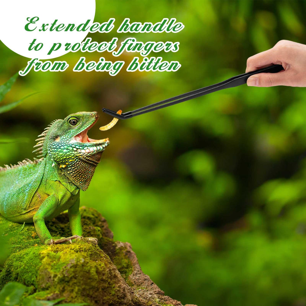 Lasnten gros plan embout caoutchouc protégeant bouche du reptile