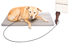 LAST LEASH comparaison de longueur illustrant espace limité et sécurité