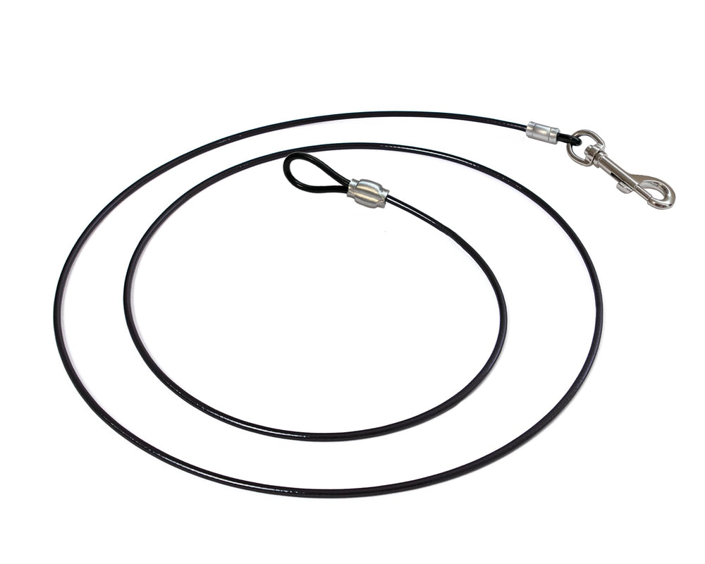 LAST LEASH vue frontale du produit montrant la fixation solide et sécurité