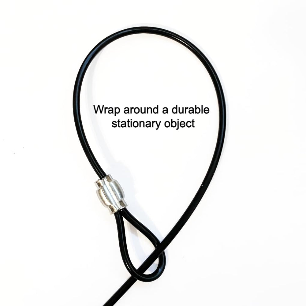 LAST LEASH utilisation en salon gardant le chien proche et sous contrôle
