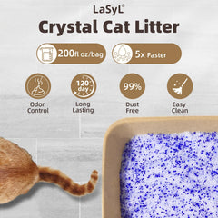 LaSyL cristaux gros plan montrant micropores et absorption efficace
