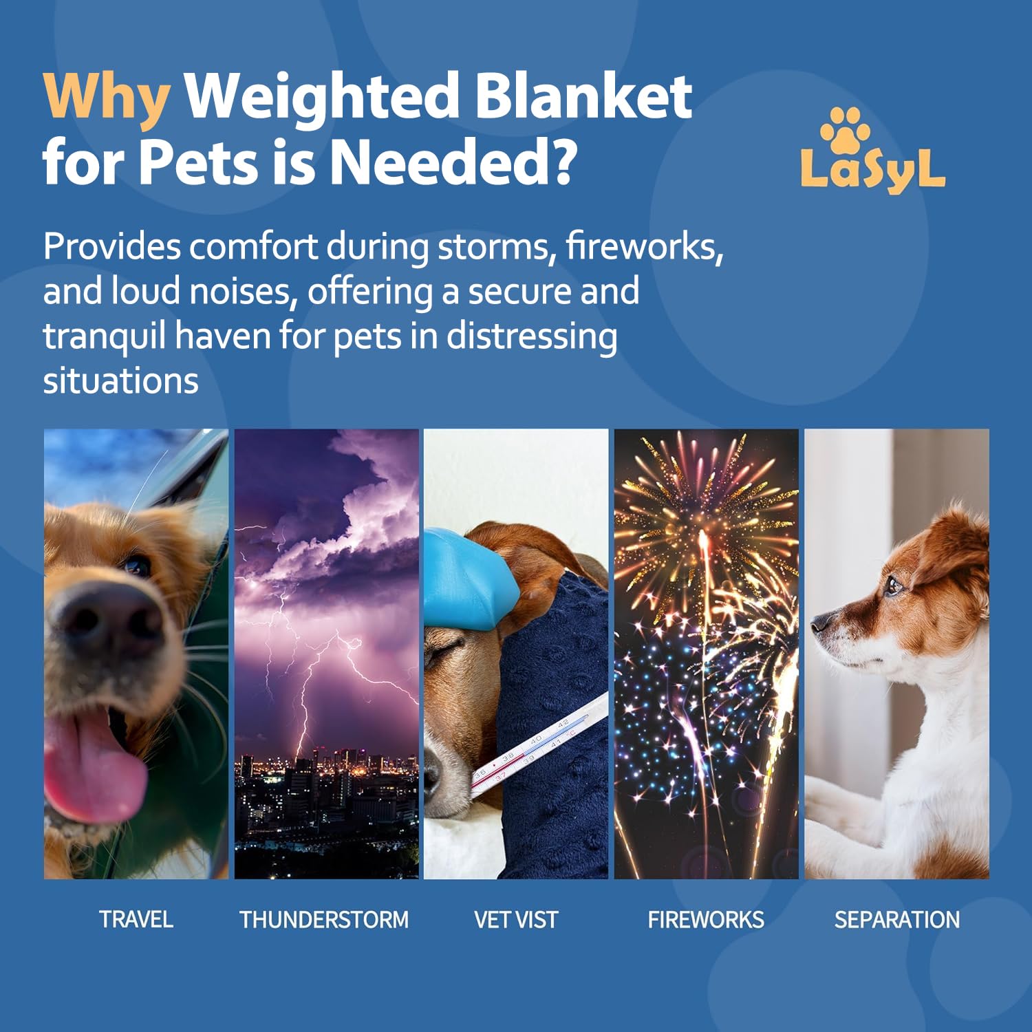 LaSyL double-face minky, douceur et confort pour l’animal