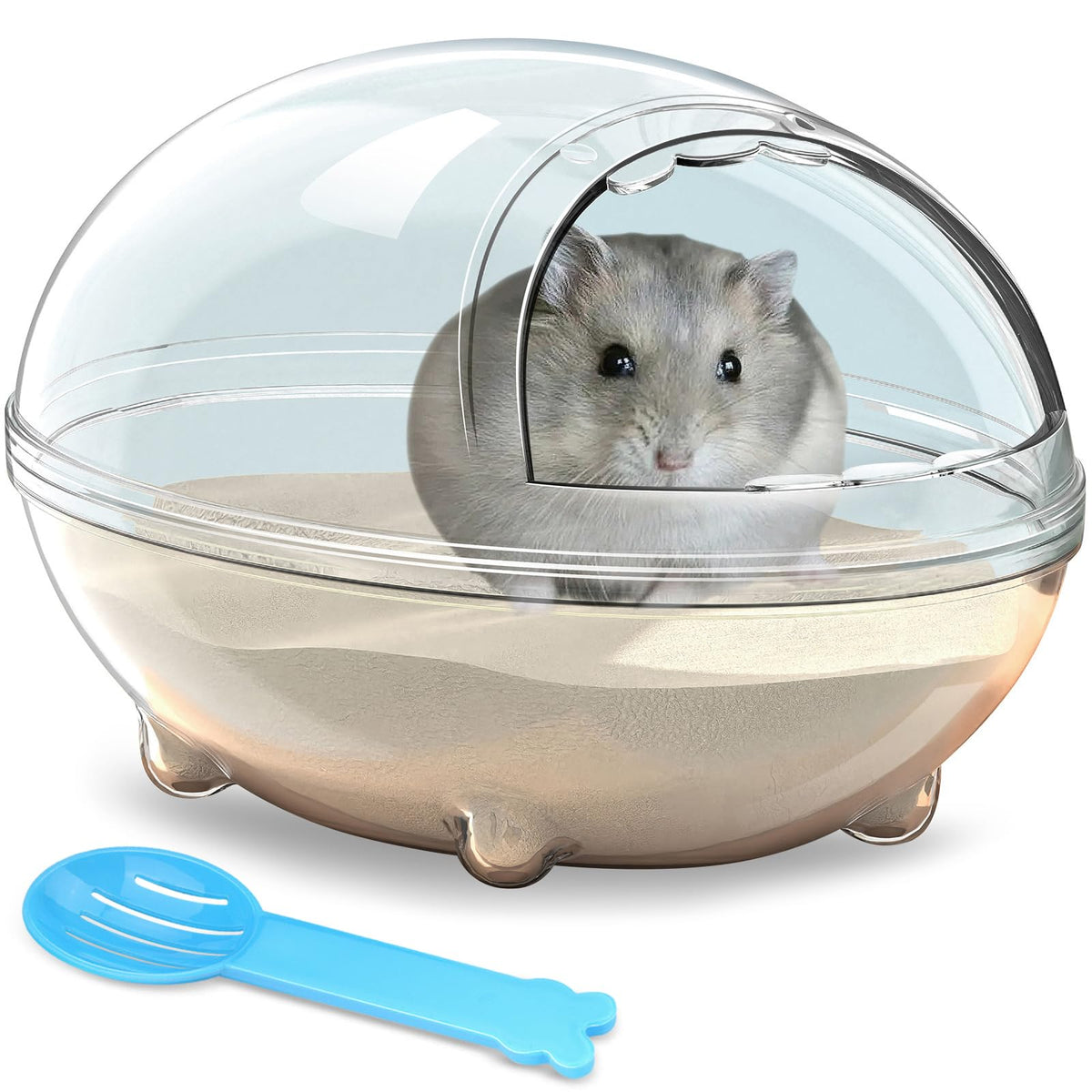 lazYYzal baignoire transparente vue avant, observation et divertissement