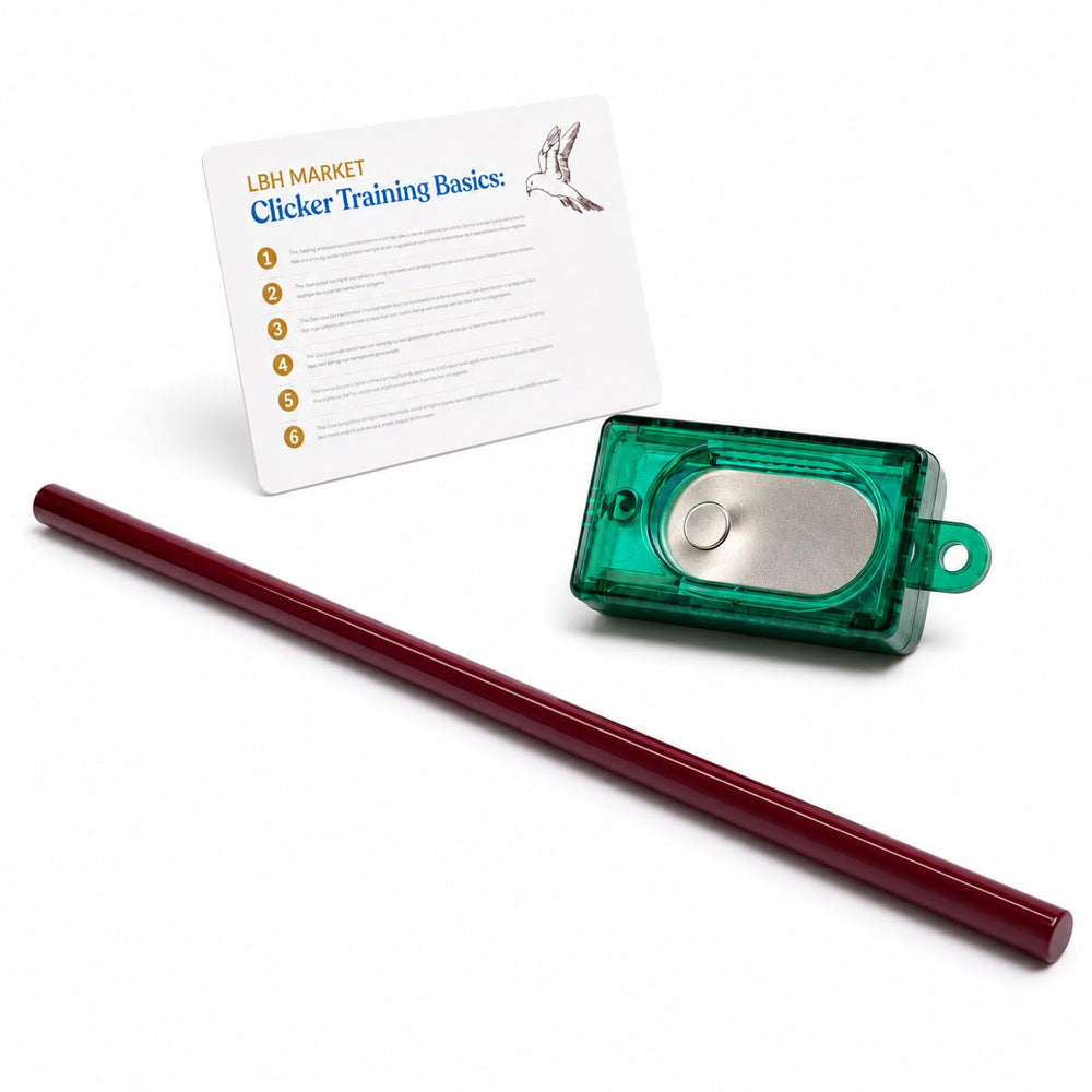 LBH MARKET clicker boîte vue de face montrant cliquet fiable pour marquage rapide