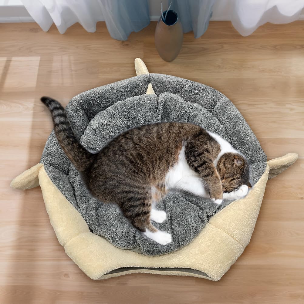 Lcybem comparaison taille montrant espace adapté pour chat moyen