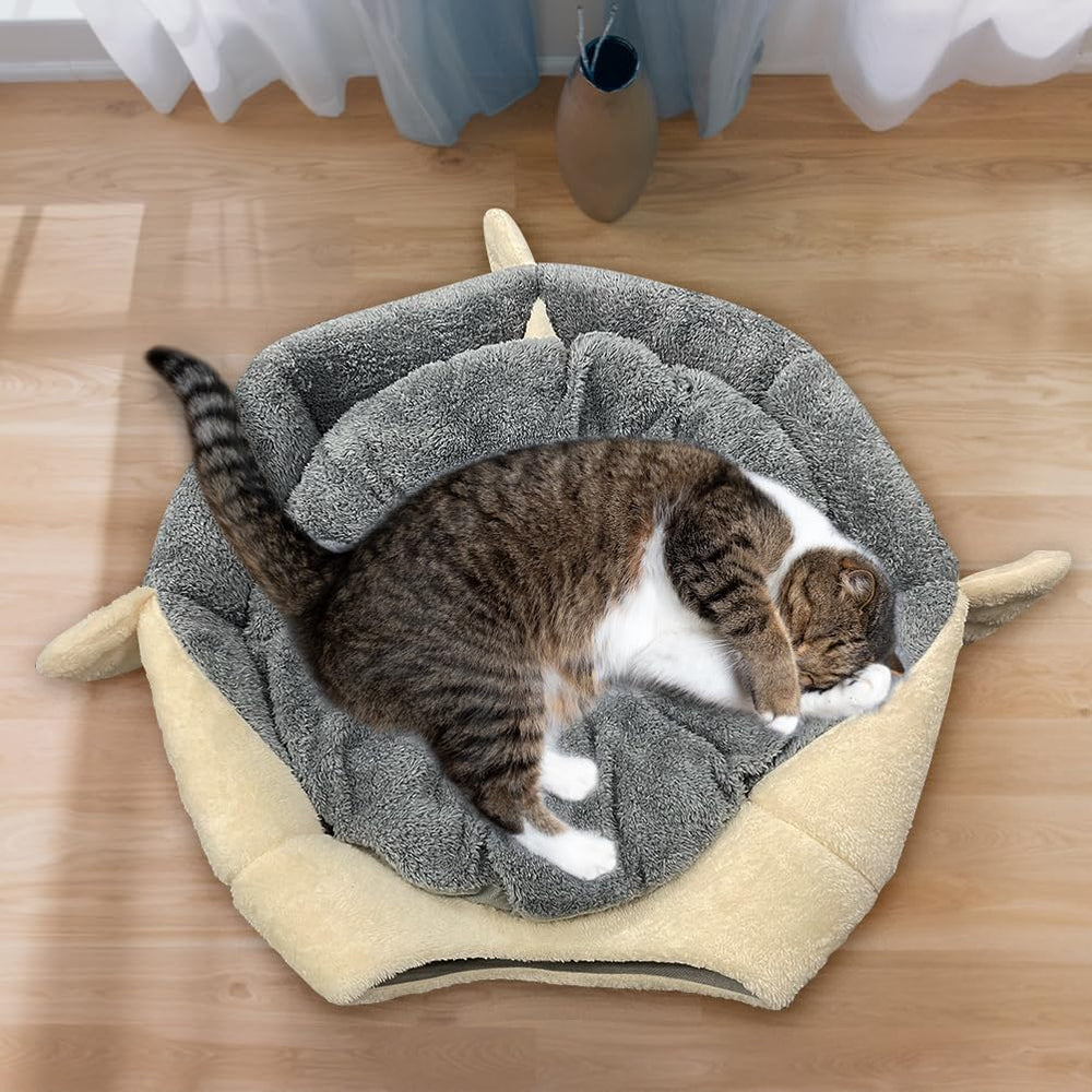 Lcybem comparaison taille montrant espace adapté pour chat moyen
