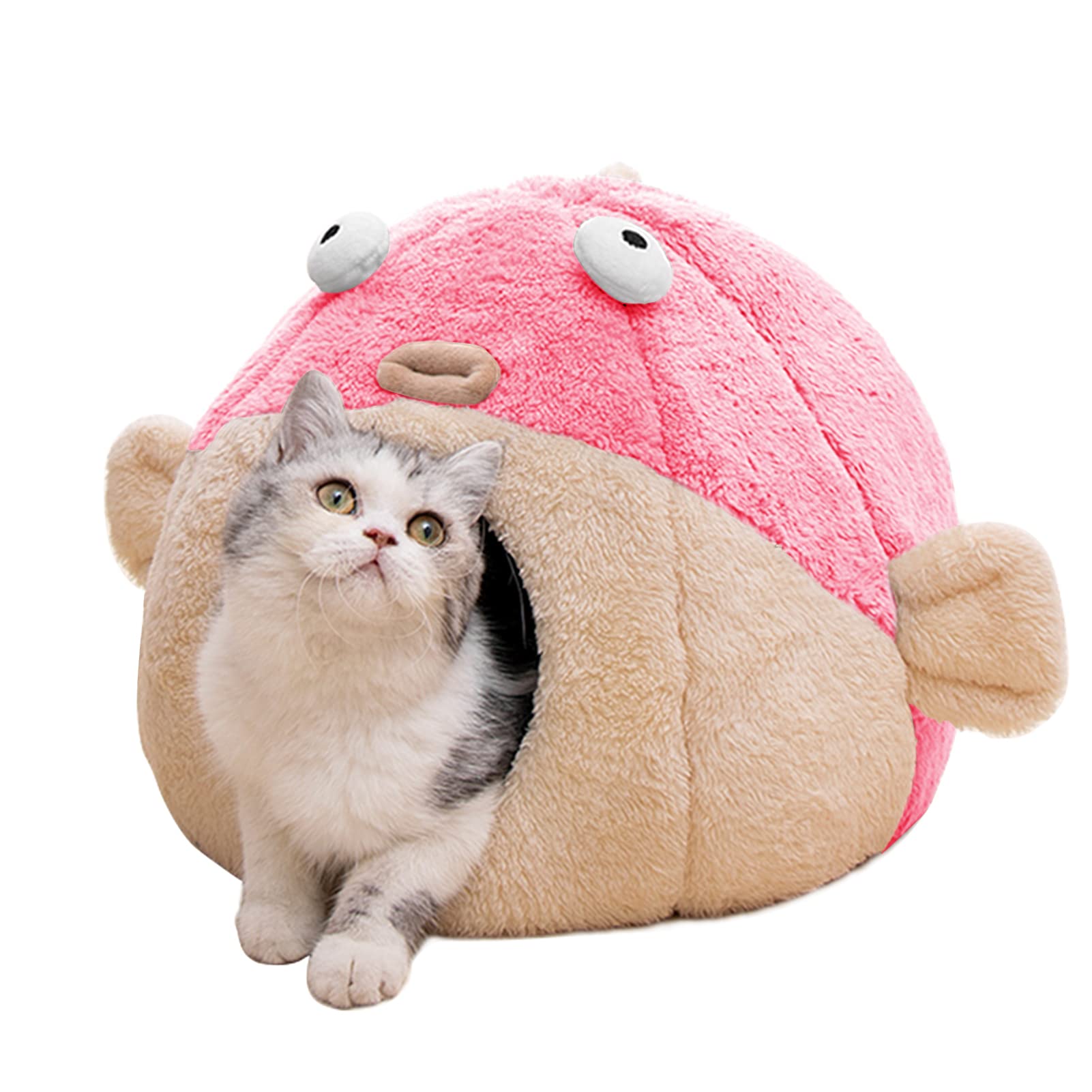 Lcybem lit chat face montrant l'entrée cosy et le confort