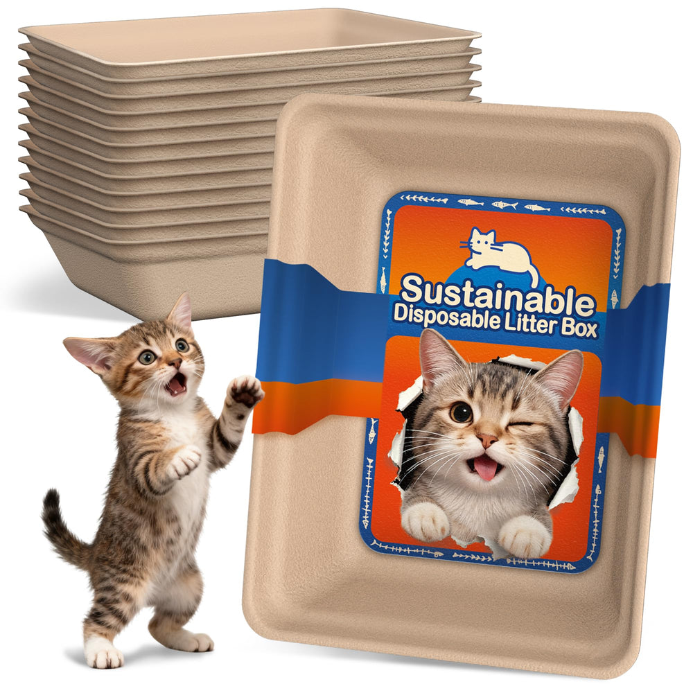 Le Sens Amazing Home face avant de l'emballage montrant le pack pratique et écologique