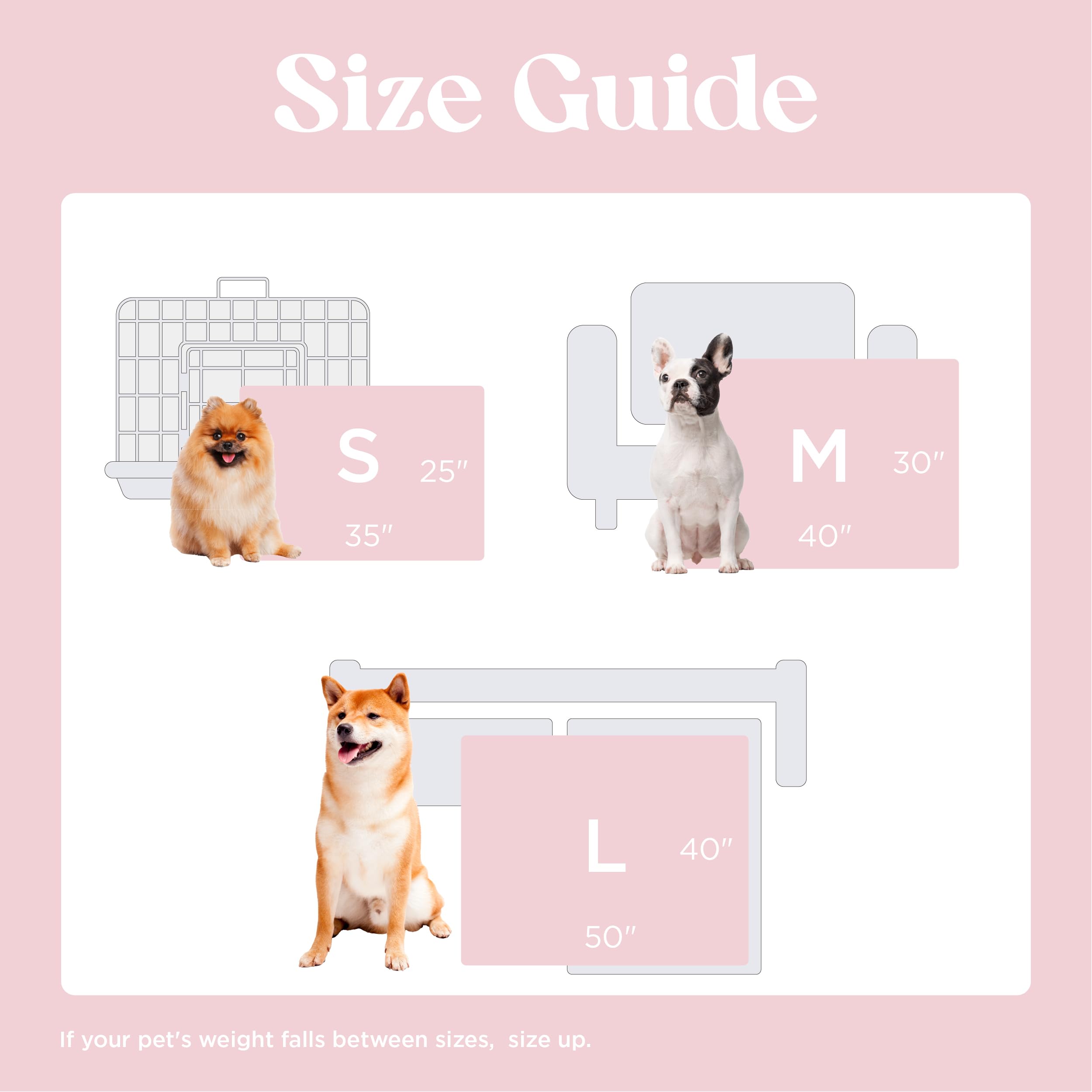 LE SURE comparaison taille 25x35 montre adaptabilité aux petits chiens
