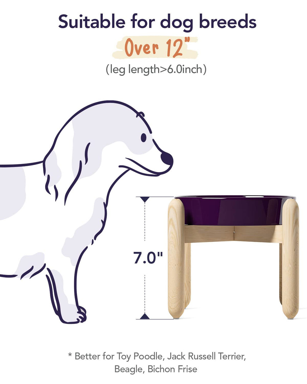 LE TAUCI gamelle en usage avec chien réduit les renversements
