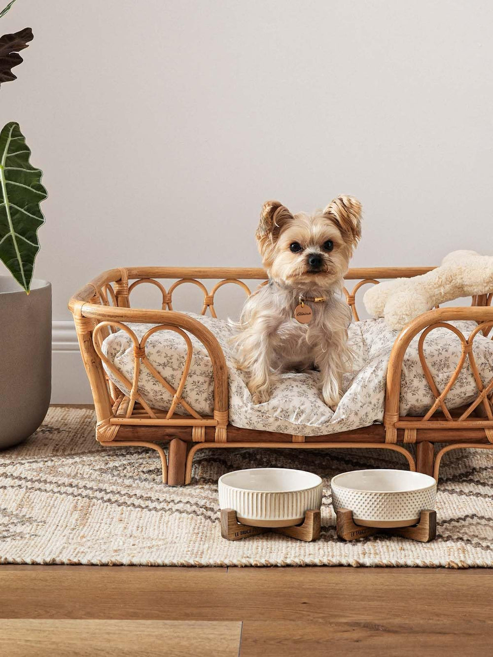 LE TAUCI PET gamelle en usage avec chien, bol stable anti‑renversement