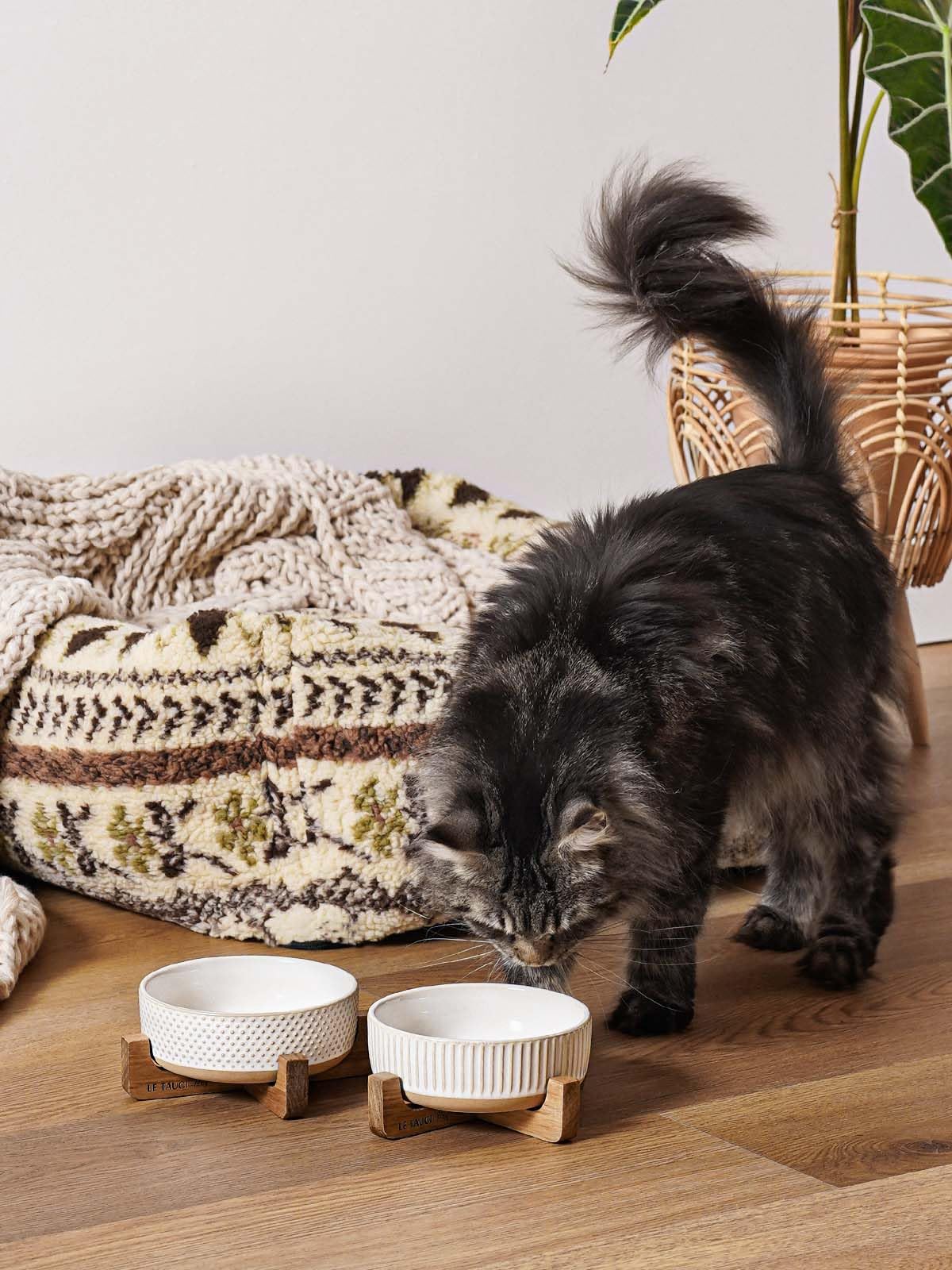 LE TAUCI PET support acacia gros plan montrant qualité bois et stabilité