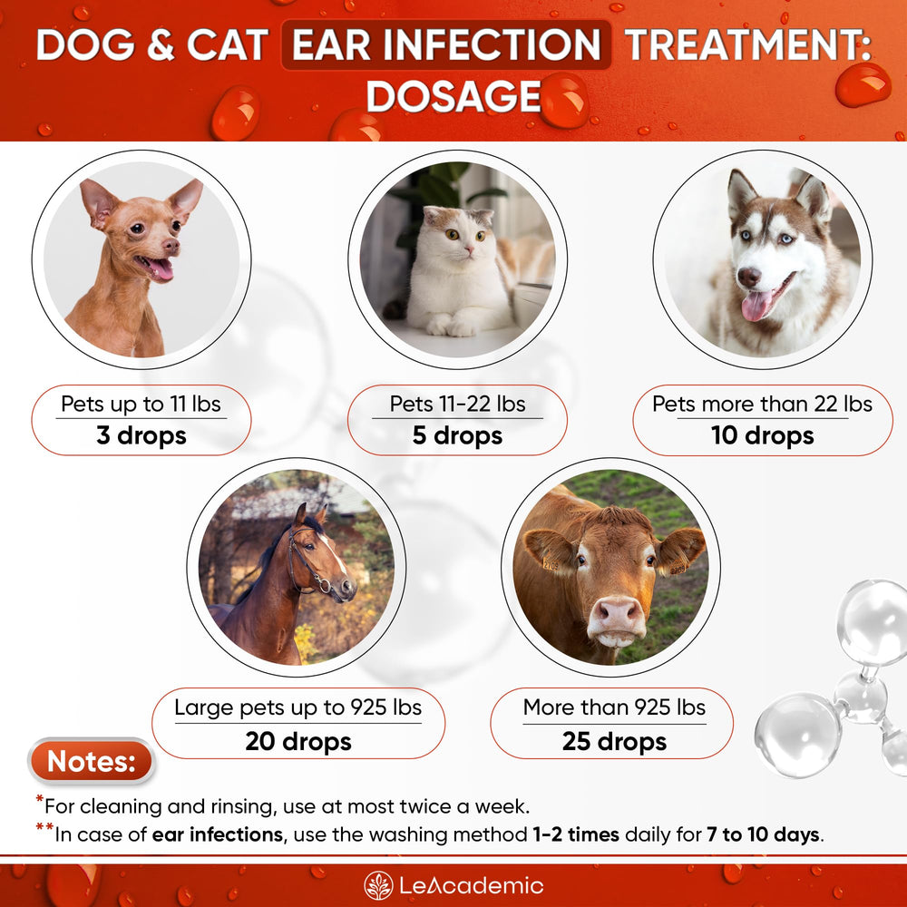 LeAcademic application sur oreille de chien montrant confort et efficacité