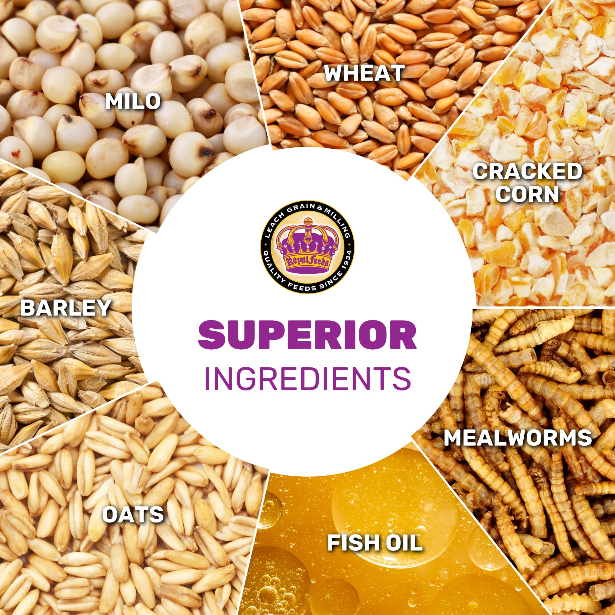 LEACH GRAIN gros plan sur la texture et les grains pour appétence accrue