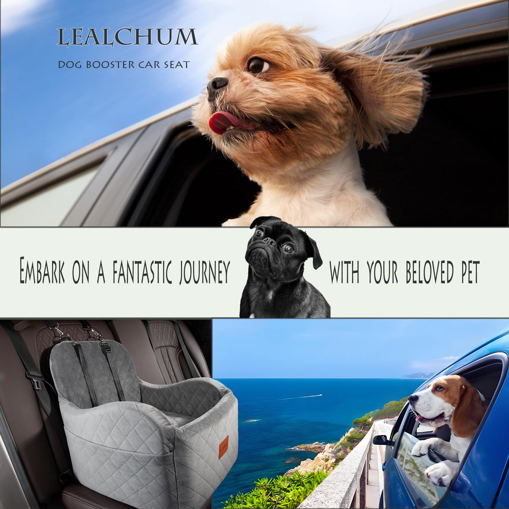 Comparaison taille Lealchum avec un chien montrant capacité pour animaux jusqu'à 16 kg