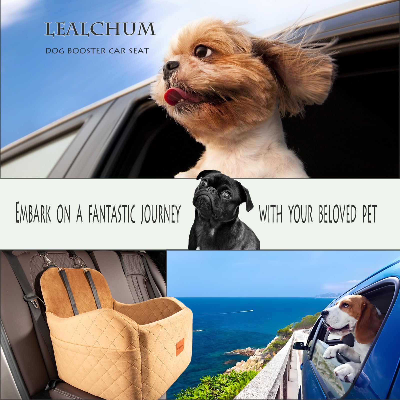 Lealchum style de vie trajet voiture chien détendu et voyage plus serein