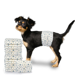 LeapSheep avant-packaging montrant protection pratique et informations claires
