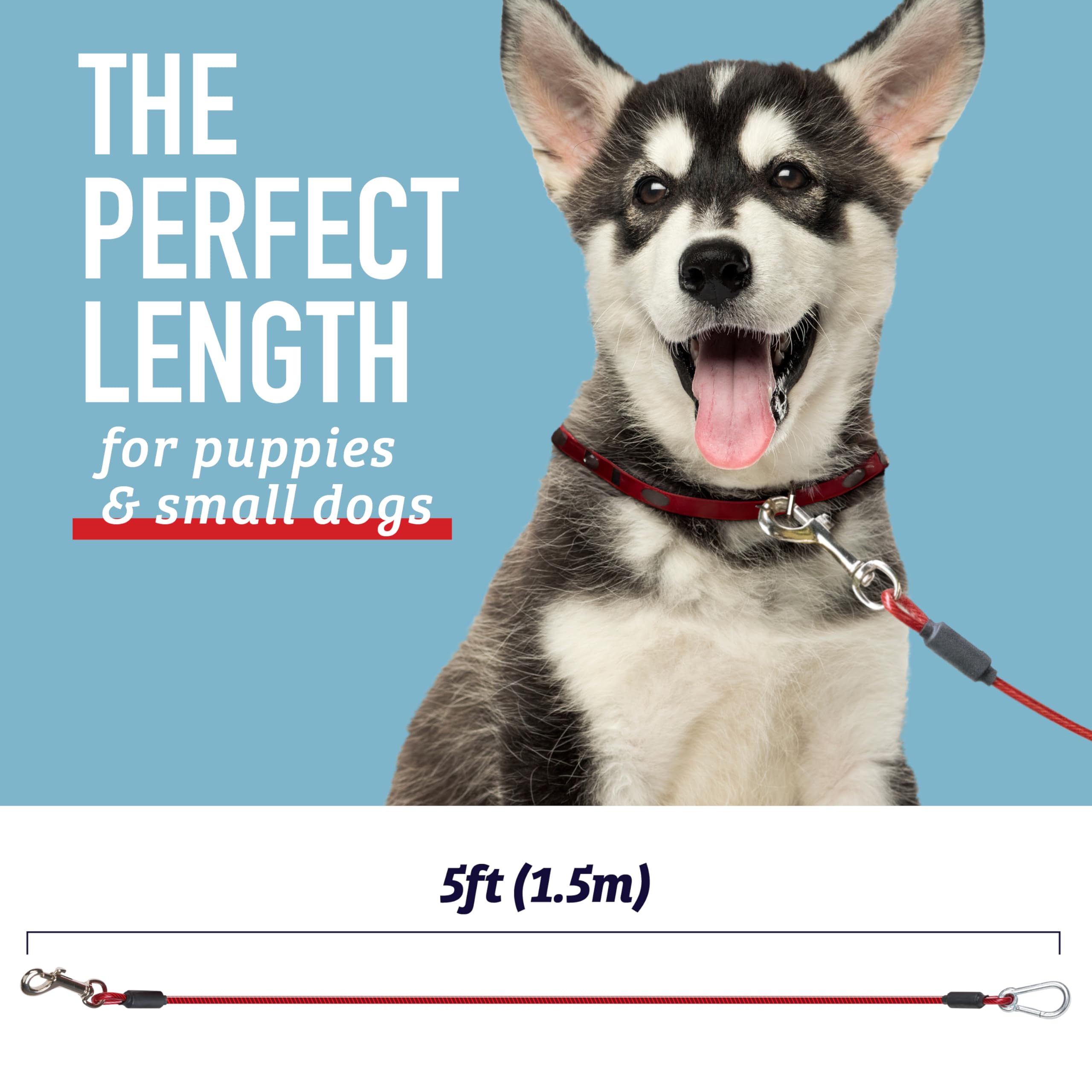 Leash Boss en usage attachant un chiot pour liberté contrôlée et sécurité