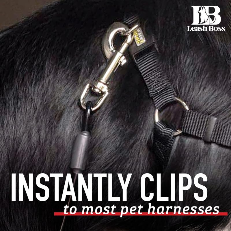 Leash Boss en usage avec harnais assurant confort et sécurité pour chien