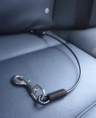 Leash Boss face de l'emballage montrant la ceinture résistante et sécurisante
