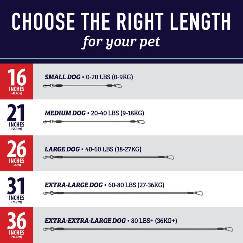 Leash Boss gros plan du câble acier gainé montrant résistance anti-mâchage