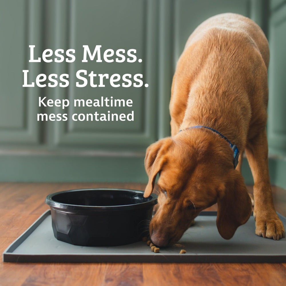 Leash Boss gros plan texture silicone propreté et facilité nettoyage