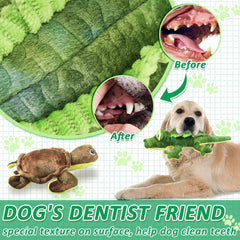 LECHONG alligator tenu en main, prise facile et robuste pour chiots et chiens