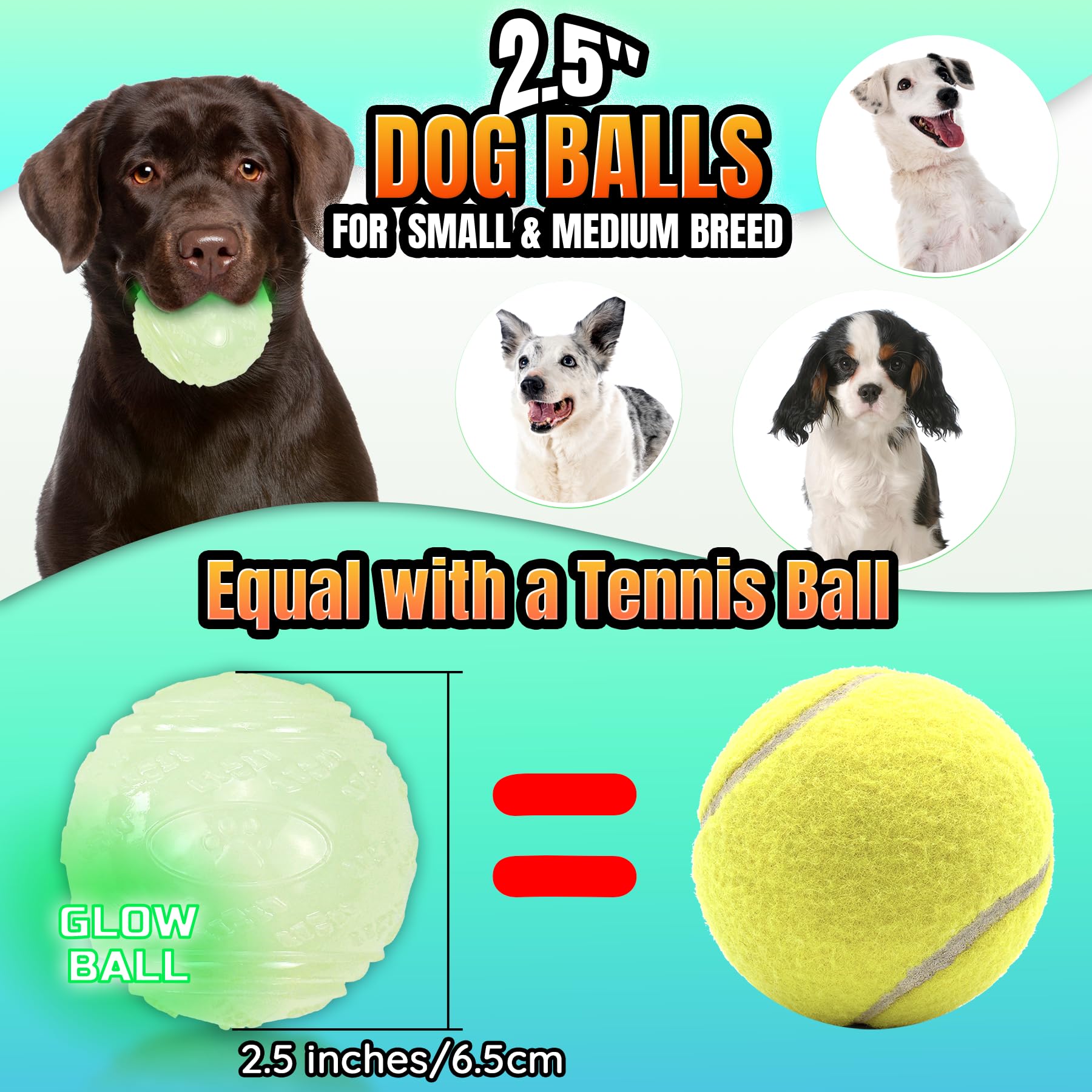 LECHONG en main illustrant la taille 2,5 pouces adaptée aux chiens