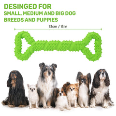 LECHONG chien jouant à la traction montrant durabilité et amusement