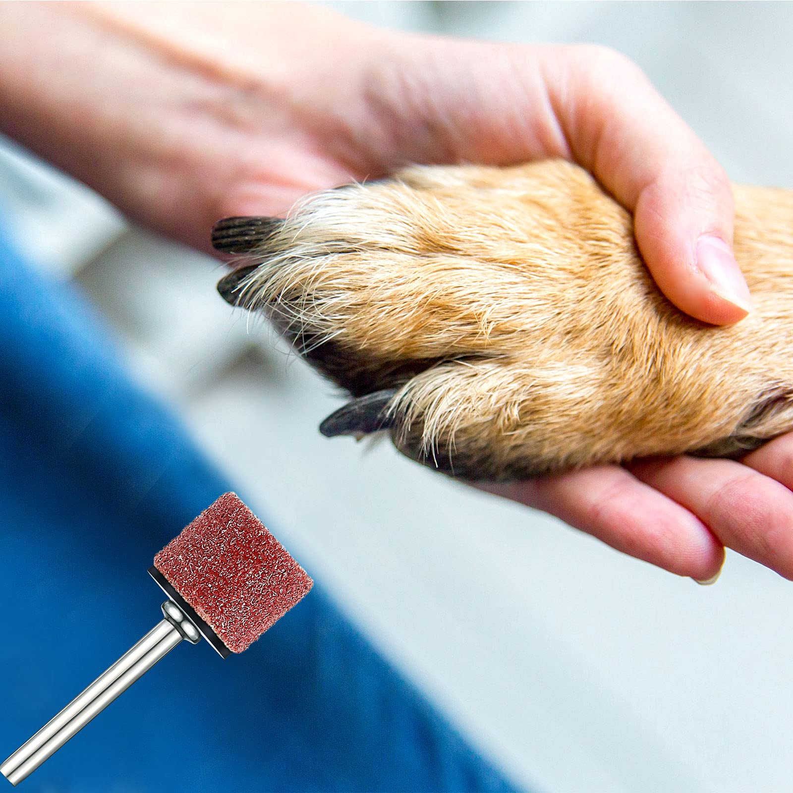 Leelosp mise en scène accessoires grooming pratique pour soin régulier des ongles