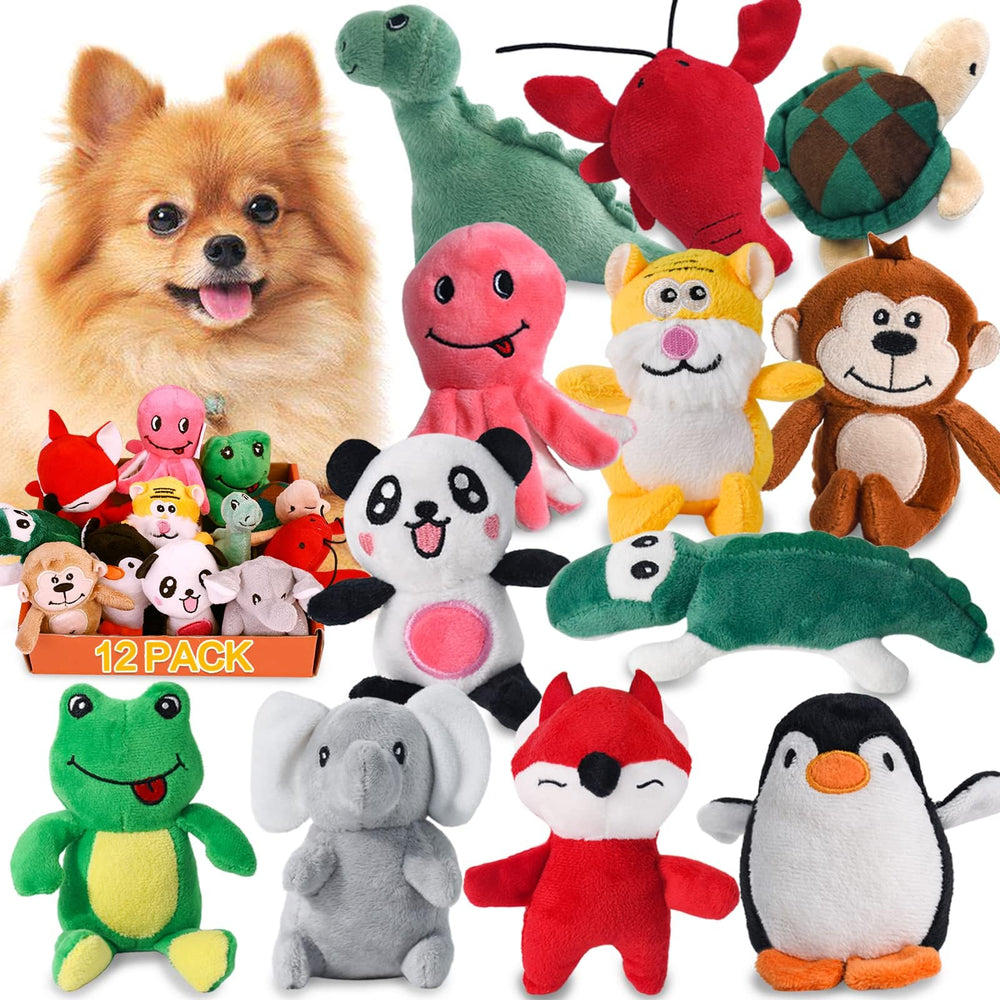 LEGEND SANDY face avant du paquet montrant 12 jouets, attractif pour l’achat