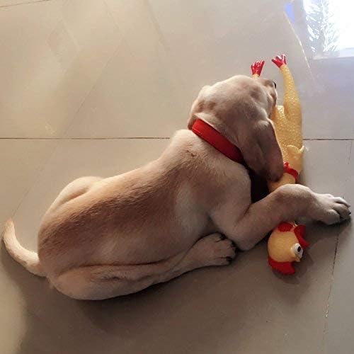 LEGEND SANDY affichage du lot de 3 poulets pour remplacer ou varier le jeu