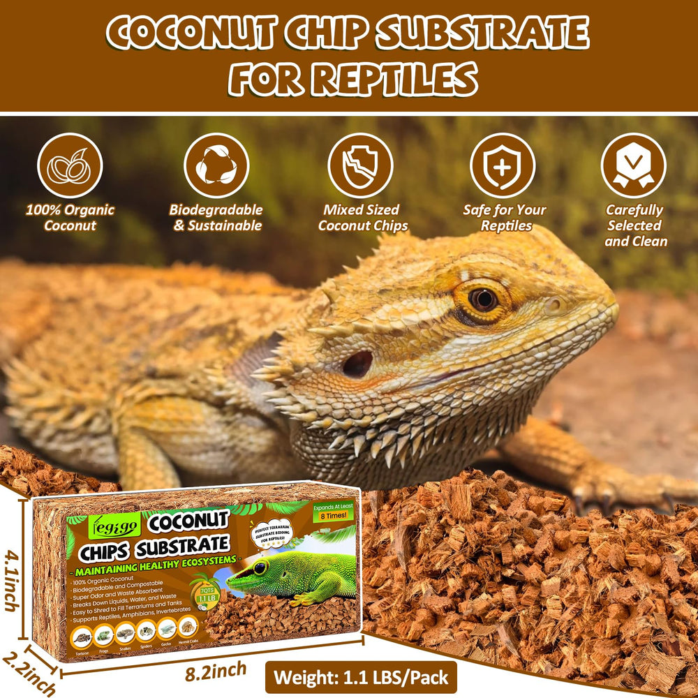 Legigo brique compacte grossie montrant la texture prête à hydrater