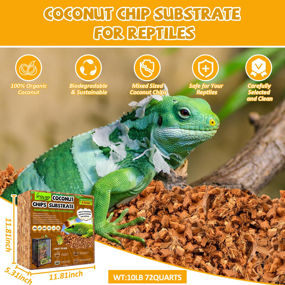 Legigo gros plan sur copeaux de coco, texture moelleuse bénéfique