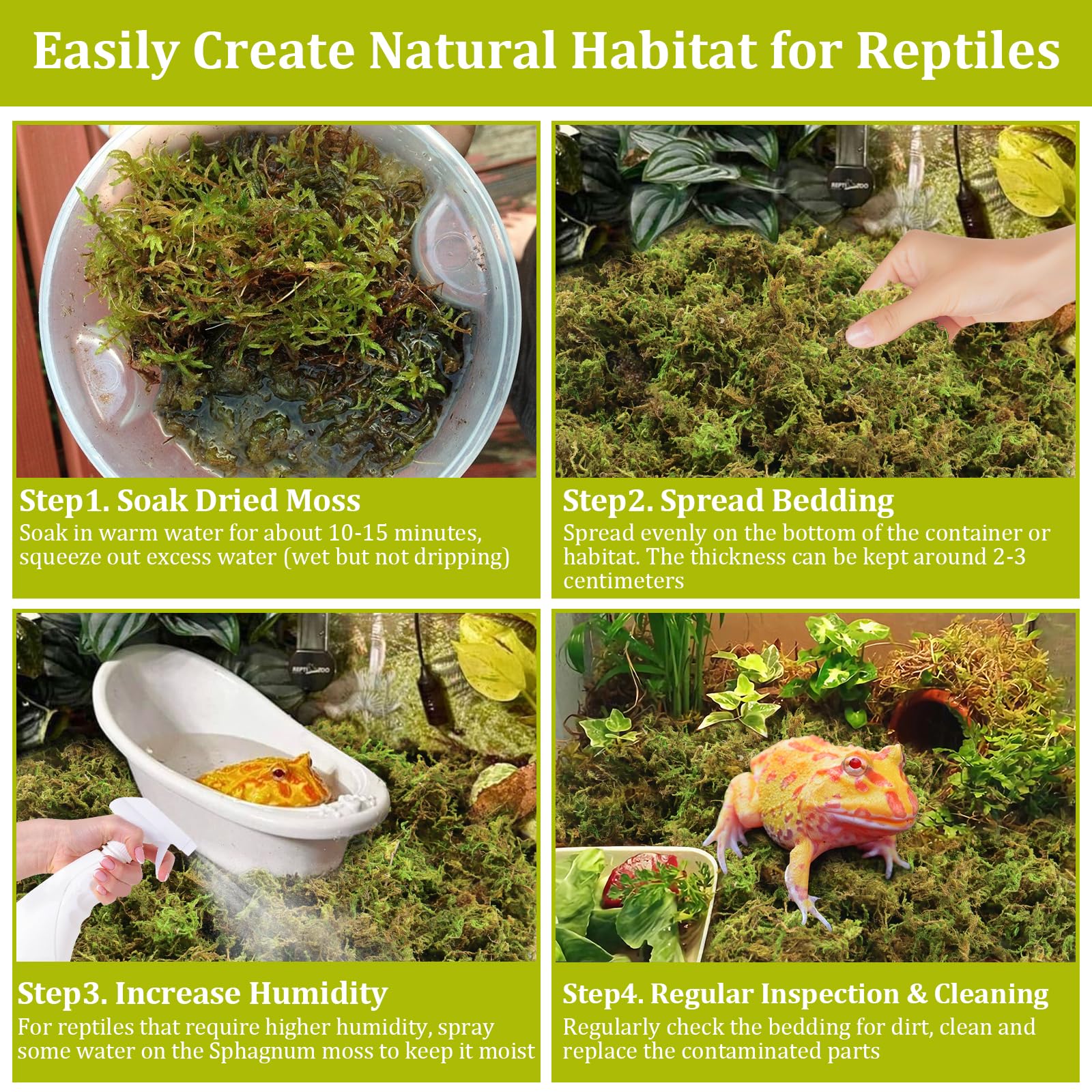 Legigo sphaigne en terrarium créant cachette humide et confort