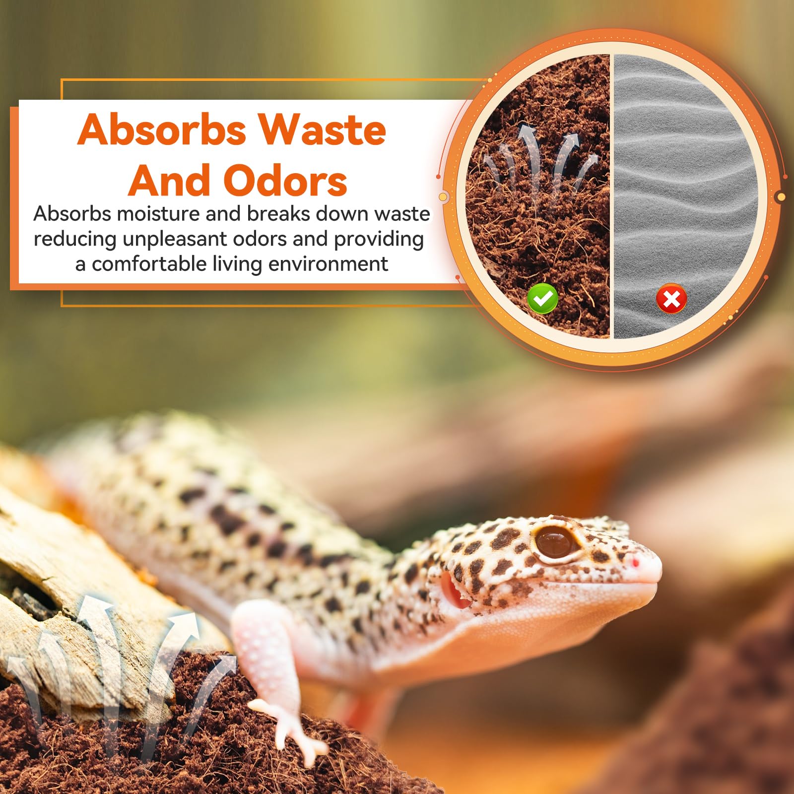 Legigo substrat installé dans terrarium, maintien d'humidité optimal