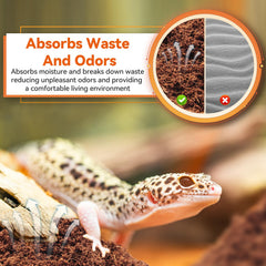 Legigo substrat installé dans terrarium, maintien d'humidité optimal