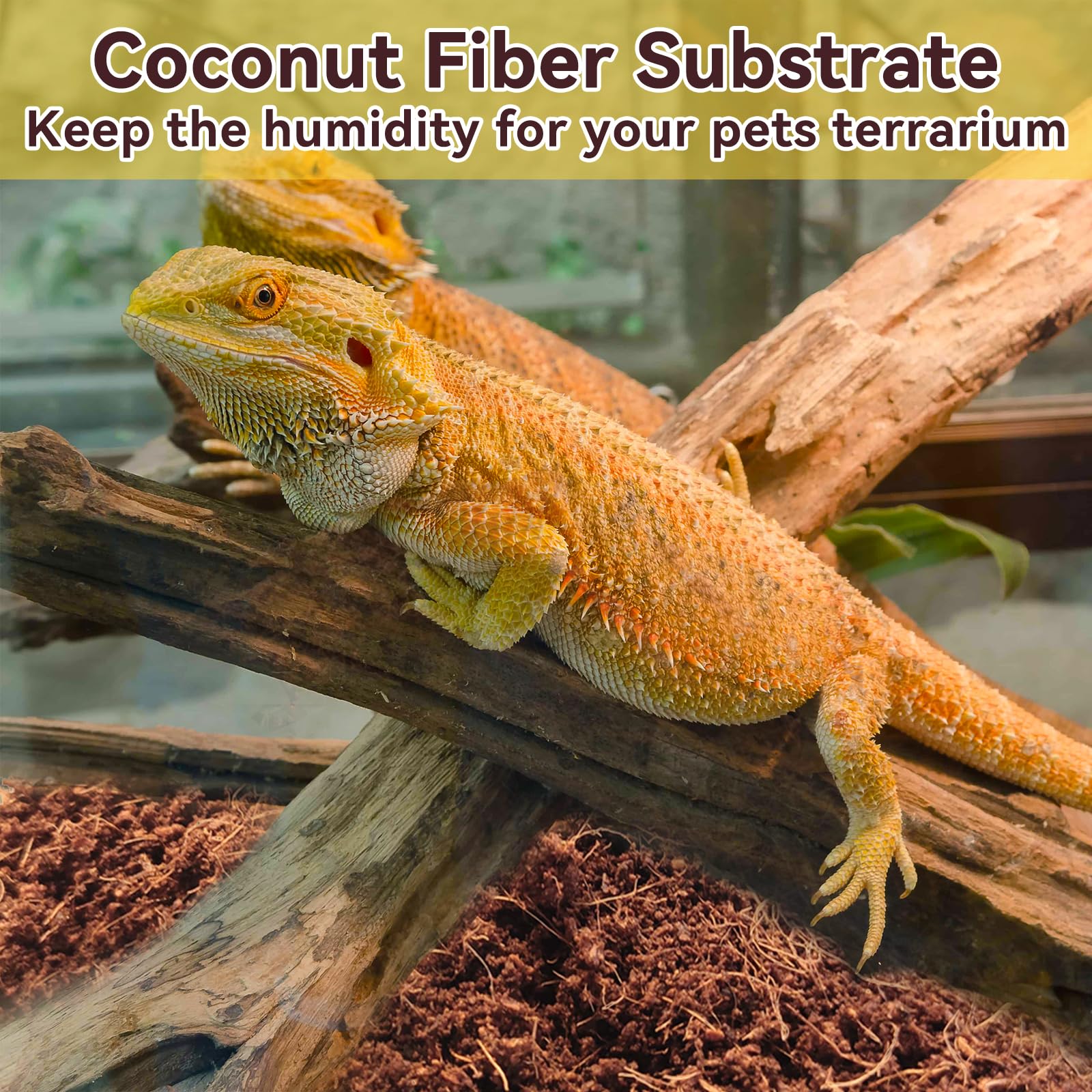 Legigo terrarium en situation lifestyle, confort naturel pour les reptiles