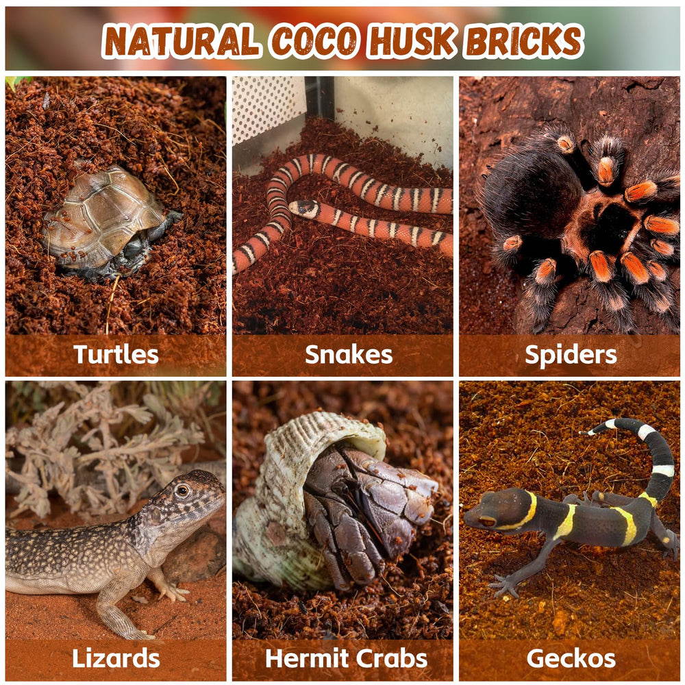 Legigo substrat en terrarium avec reptile favorisant fouissage