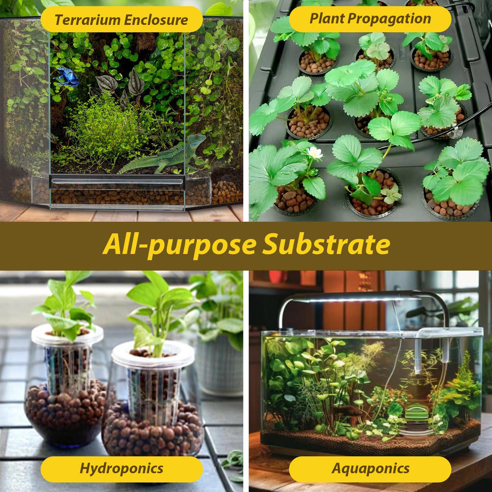 legigo vivarium avec plantes et reptile montrant habitat propre et sain