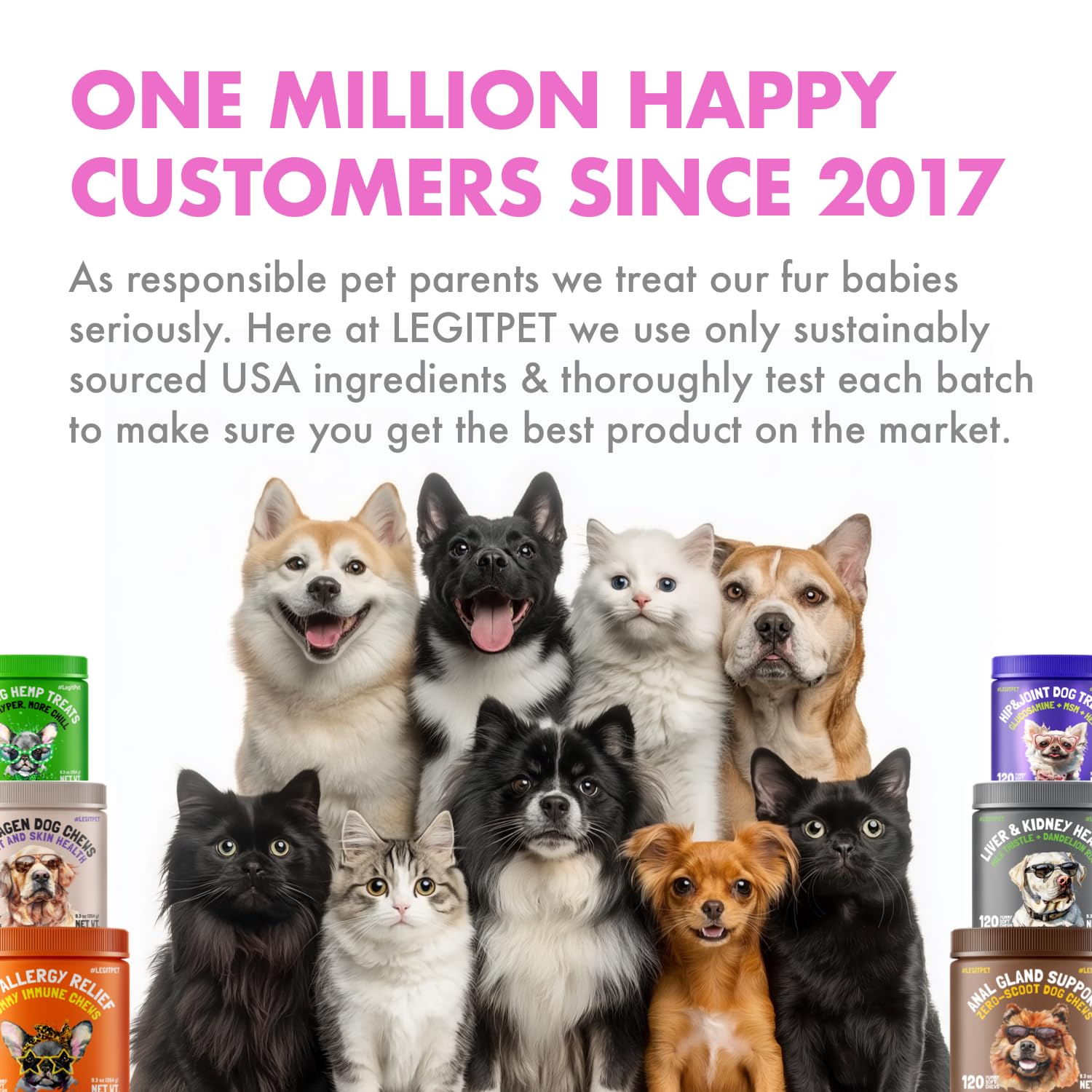 LEGITPET chien en extérieur après prise, montrant confort digestif et bien-être