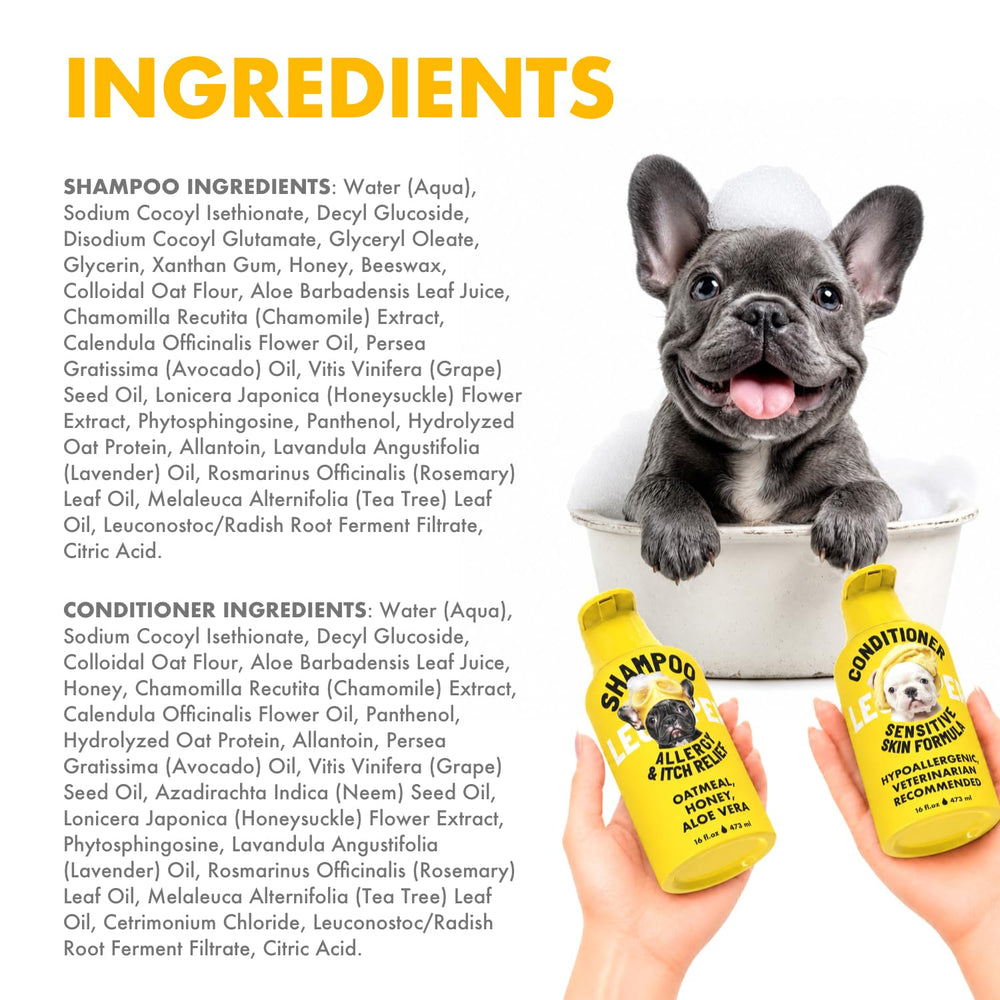 LEGITPET chien au salon montrant un pelage propre, doux et fraîchement parfumé