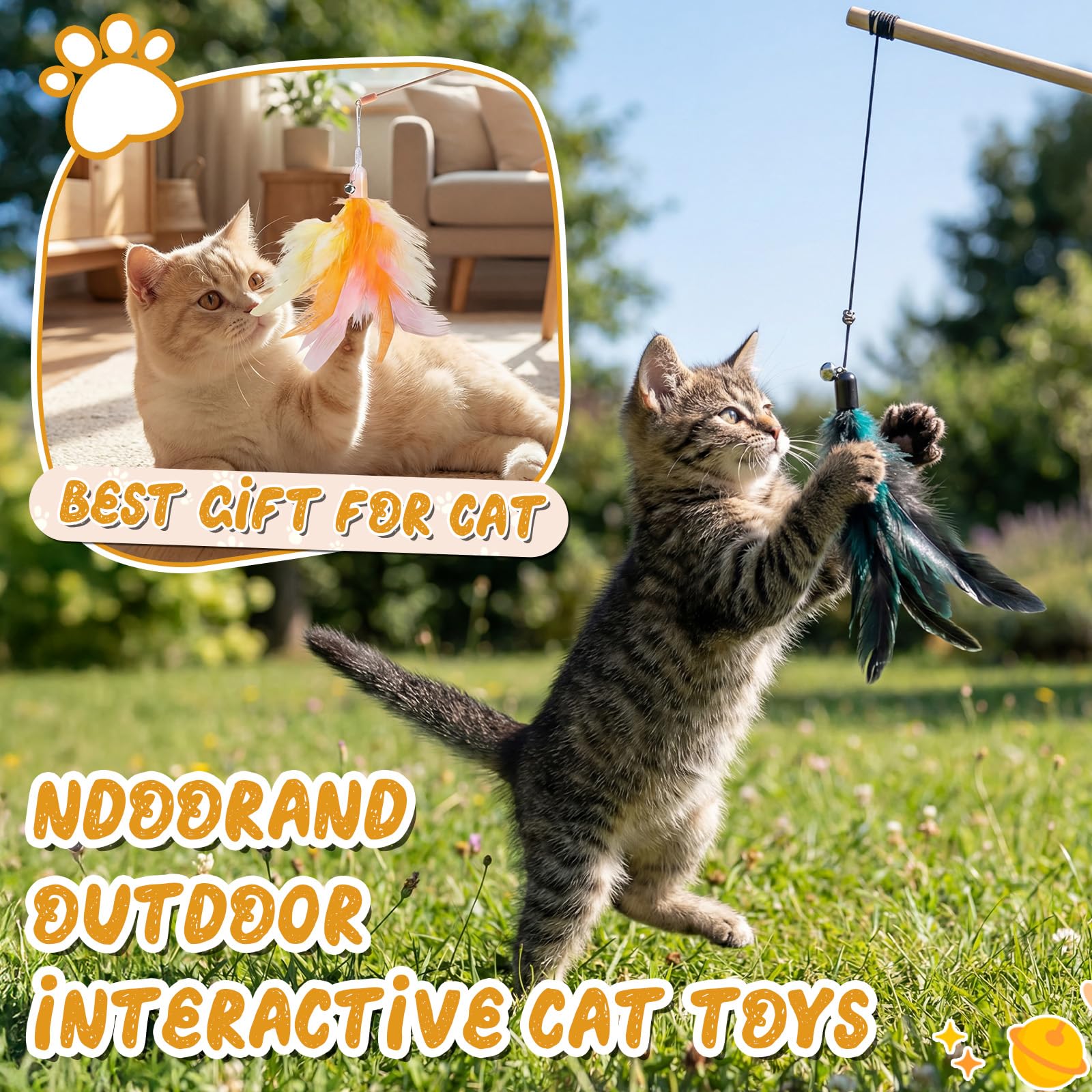 Leitee chat en jeu illustrant exercice actif et stimulation comportementale